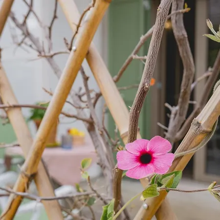 Verso Sud, Torre Canne